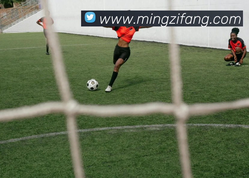 k1电子官网平台生态图